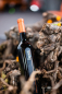 Preview: Bagueri Merlot – Klet Brda – Slowenien