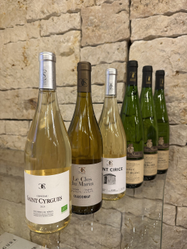 Probierpaket Weisswein trocken Corbières Gaillac Elsass Côtes du Rhône Frankreich