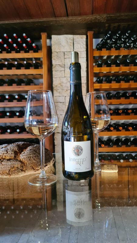 Intemp Aurel Cuvée Blanc trocken aus Gaillac Frankreich