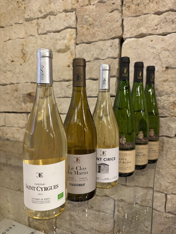 Probierpaket Weisswein trocken Corbières Gaillac Elsass Côtes du Rhône Frankreich